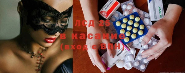 индика Кулебаки