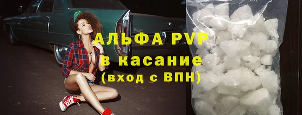 индика Кулебаки