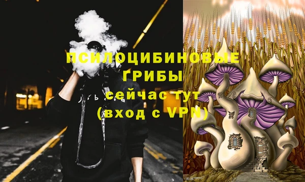 первитин Лабытнанги
