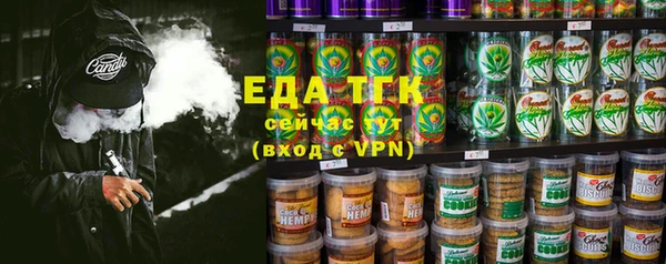 индика Кулебаки