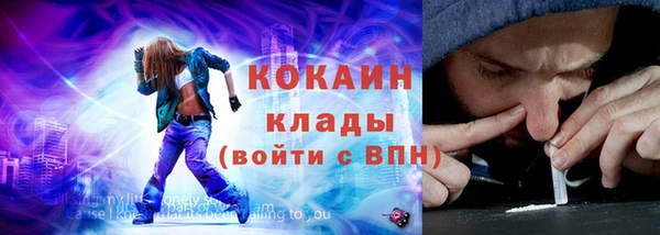индика Кулебаки