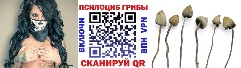 Галлюциногенные грибы мухоморы  Купить где  Разумное 